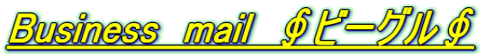 Business mail ∮ビーグル∮